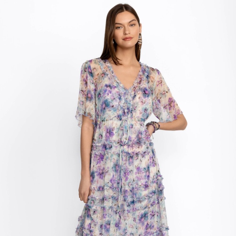 Johnny Was Glinda Silk Maxi Dress (XS)